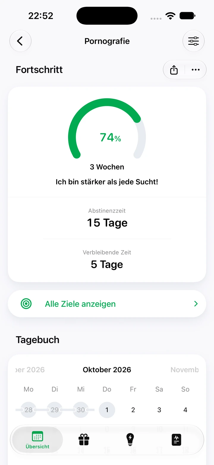 Fortschrittsansicht in Quitzilla: Pornografie