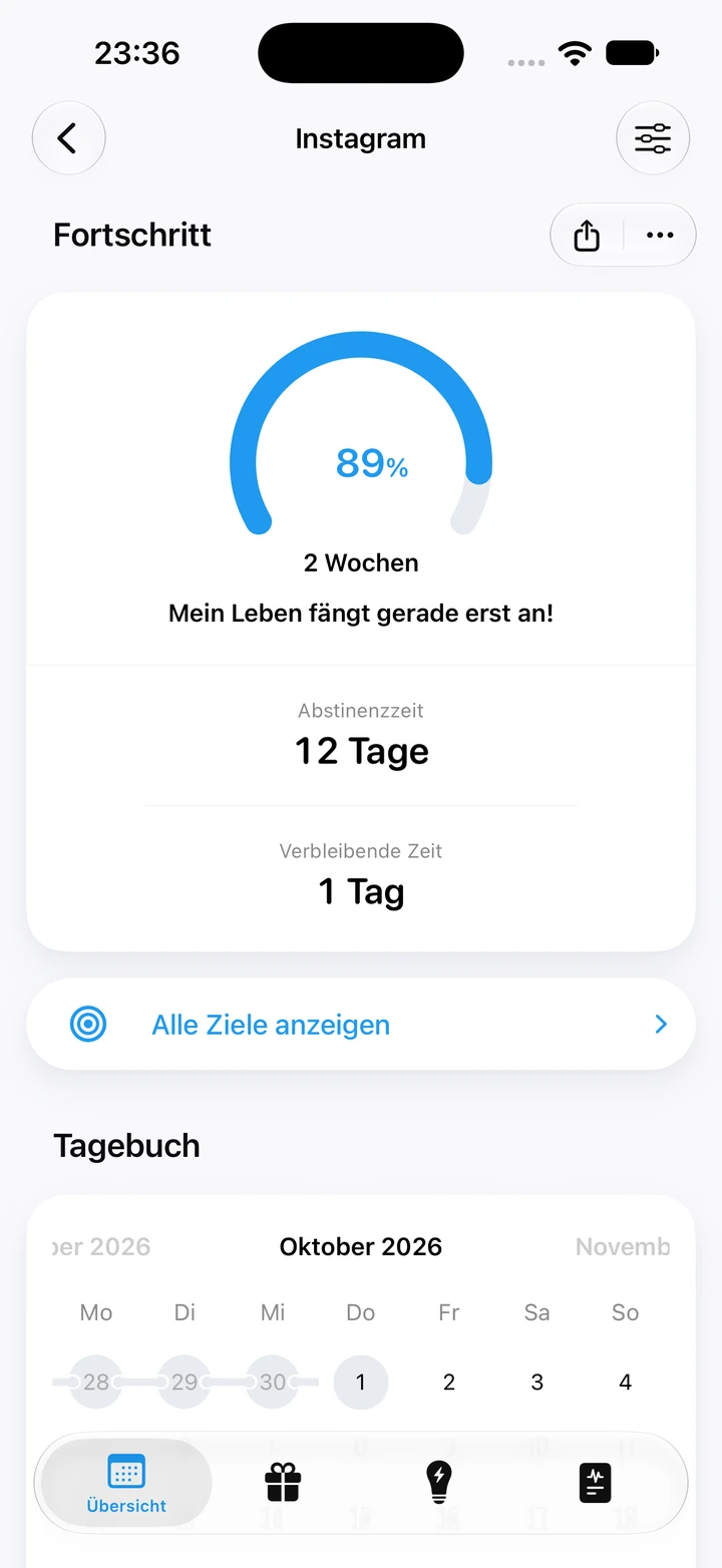 Fortschrittsansicht in Quitzilla: Social Media